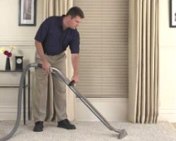 Carpet Cleaner Paddington