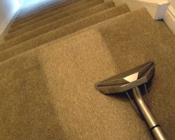 Carpet Cleaning Paddington