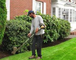 Gardening Services Paddington