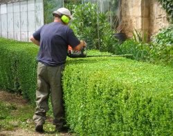 Gardener Paddington