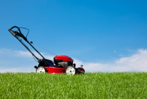 lawn-mower